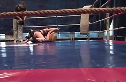Busty euro les pussylicked by wrestling babe