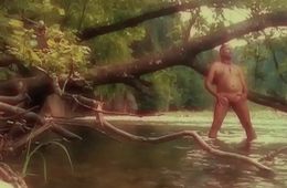 idyllic P